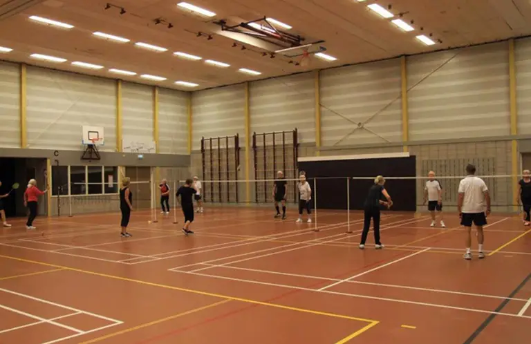badminton hoog